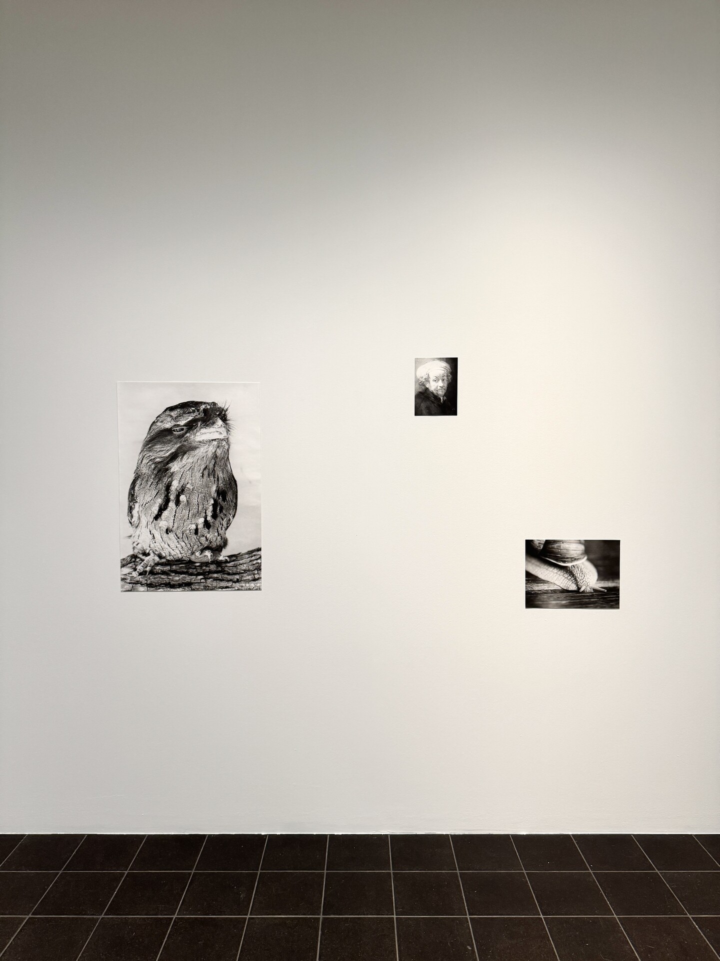 Ausstellungsansicht © Jochen Lempert/VG Bild-Kunst, Bonn 2023. Courtesy ProjecteSD, Barcelona and BQ, Berlin