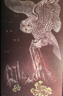Valentine Hugo (1887 -1968), La Vérité tomberait du ciel sous la forme d‘un harfang, Pastell und Farbkreide auf schwarzem Papier, 1932, Musée d'art et d'histoire Paul Eluard, Saint-Denis