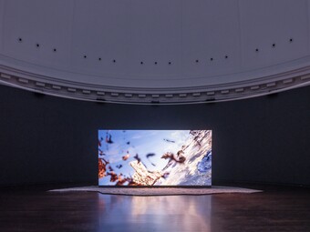 Installationsansicht der Ausstellung The Ephemeral Lake – Eine digitale Installation von Jakob Kudsk Steensen, 12. April bis 27. Oktober 2024, Hamburger Kunsthalle  © Courtesy the artist  © Hamburger Kunsthalle,  Foto: Christoph Irrgang