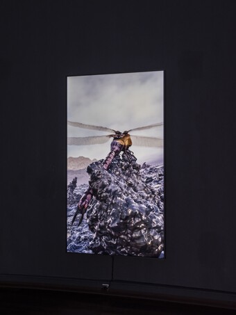 Installationsansicht der Ausstellung The Ephemeral Lake – Eine digitale Installation von Jakob Kudsk Steensen, 12. April bis 27. Oktober 2024, Hamburger Kunsthalle  © Courtesy the artist  © Hamburger Kunsthalle,  Foto: Christoph Irrgang