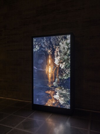 Installationsansicht der Ausstellung The Ephemeral Lake – Eine digitale Installation von Jakob Kudsk Steensen, 12. April bis 27. Oktober 2024, Hamburger Kunsthalle  © Courtesy the artist  © Hamburger Kunsthalle,  Foto: Christoph Irrgang