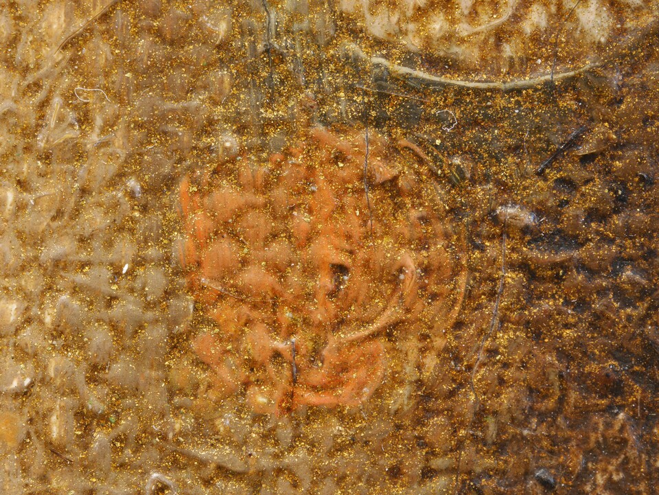 Detail aus Anita Rée (1885–1933): Frauenkopf (Geneigter Kopf), 1922-1925, Foto: Heike Schreiber / Nikoline Zornikau