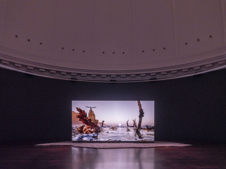 Installationsansicht der Ausstellung The Ephemeral Lake – Eine digitale Installation von Jakob Kudsk Steensen, 12. April bis 27. Oktober 2024, Hamburger Kunsthalle  © Courtesy the artist  © Hamburger Kunsthalle,  Foto: Christoph Irrgang Installationsansicht der Ausstellung The Ephemeral Lake – Eine digitale Installation von Jakob Kudsk Steensen, 12. April bis 27. Oktober 2024, Hamburger Kunsthalle  © Courtesy the artist  © Hamburger Kunsthalle,  Foto: Christoph Irrgang