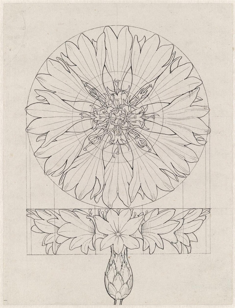 Philipp Otto Runge (1777 - 1810), Konstruierte Kornblume, 1808/09, Hamburger Kunsthalle, Kupferstichkabinett © Hamburger Kunsthalle / bpk, Foto: Elke Walford